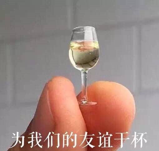 为我们的友谊干杯(微型酒杯 虚假友谊) 